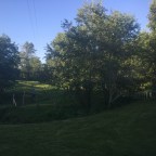 A farm that both of us love . . .