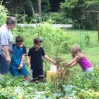 Shopping in our messy garden!