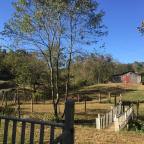 The view from the back porch