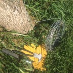 Re-learning how to think