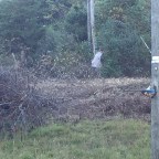 Takin on Hell with a squirt-gun!