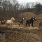 New friends – we hope!