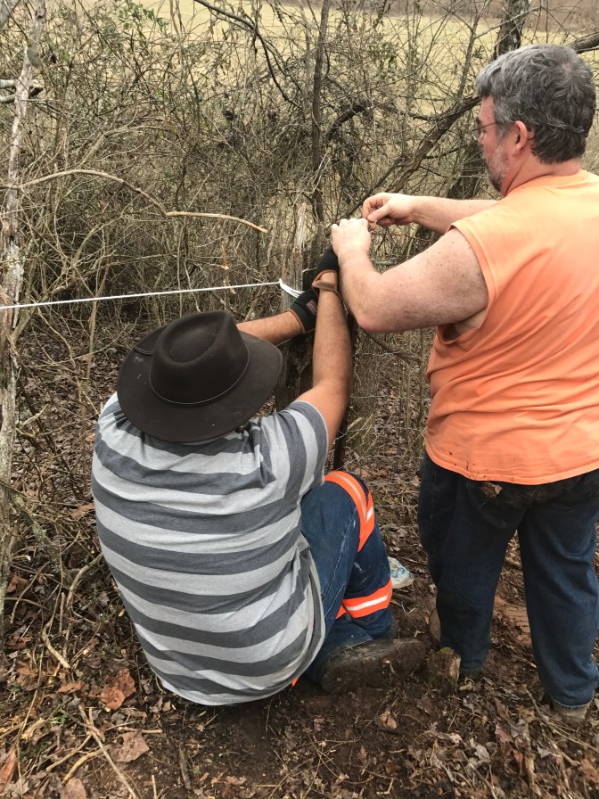 jim-and-jeremy-running-fence