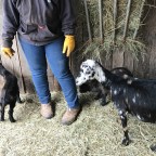 Learning with goats . . . chapter ?