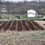 The messy garden – take 2