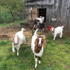 If a picture’s worth a thousand words . . .