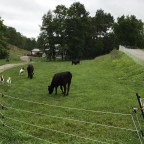 lawnmowers and weed-eaters