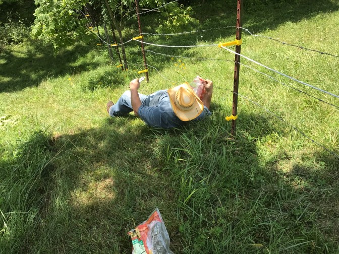 Jim fencing from grass