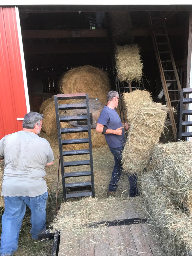 hay elevator