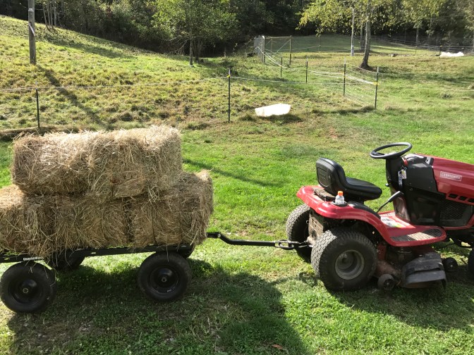 Lawn mower hay wagon