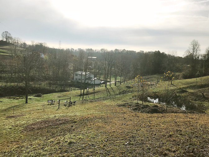 after - beyond the pond hill - back toward house
