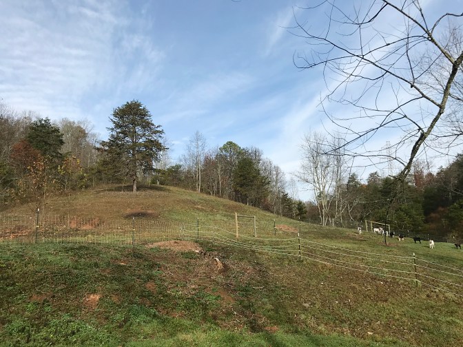 after - beyond the pond hill