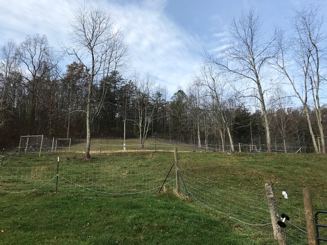 after - from entrance to garden knoll