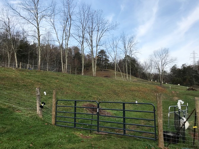 after - from the entrance gate