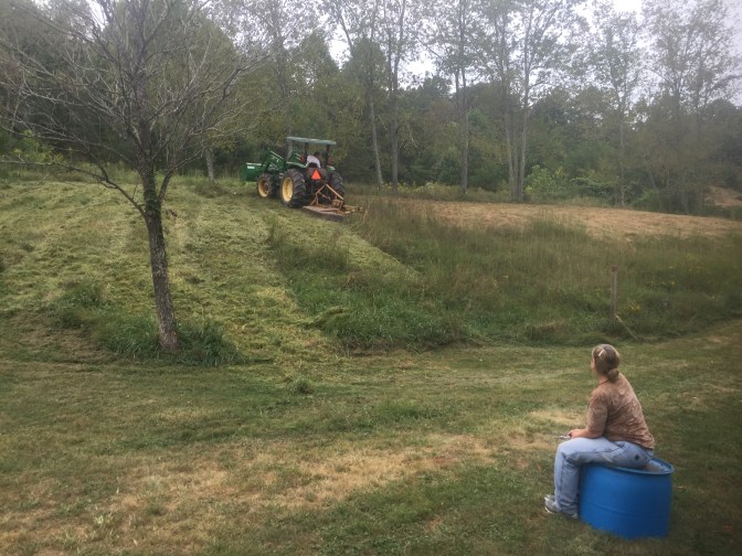 before Aug 2016 front of garden hill