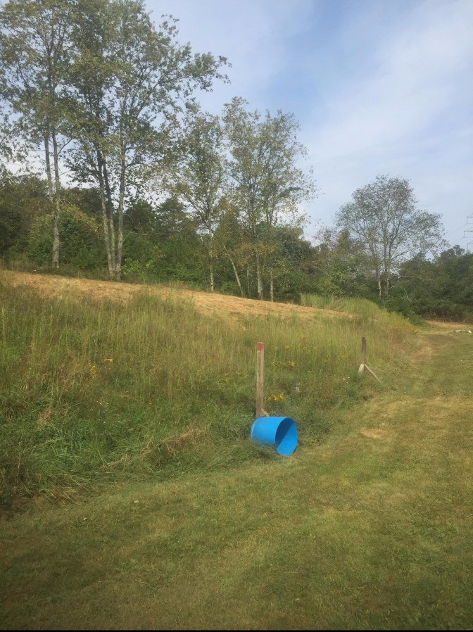 before Jul 2016 below the garden looking toward valley