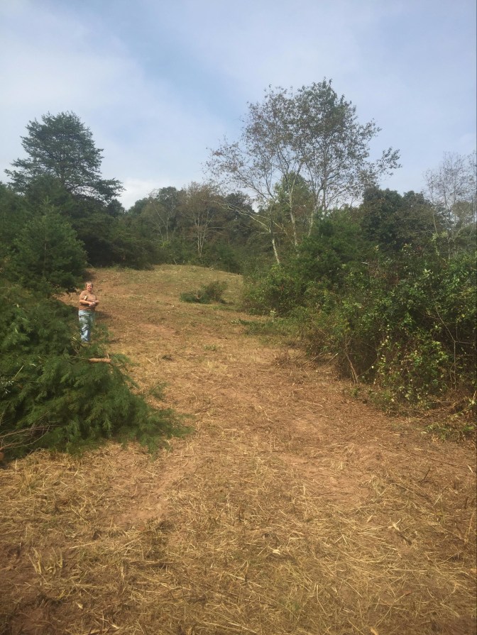 before Jul 2016 beyond the pond hill