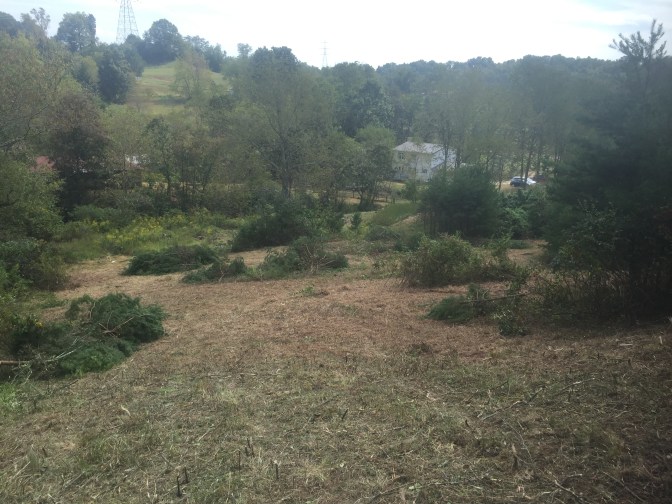 Before Sep 2016 looking from Beyond the Pond Hill