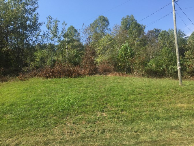 before Sep 2016 looking up from driveway Power line run