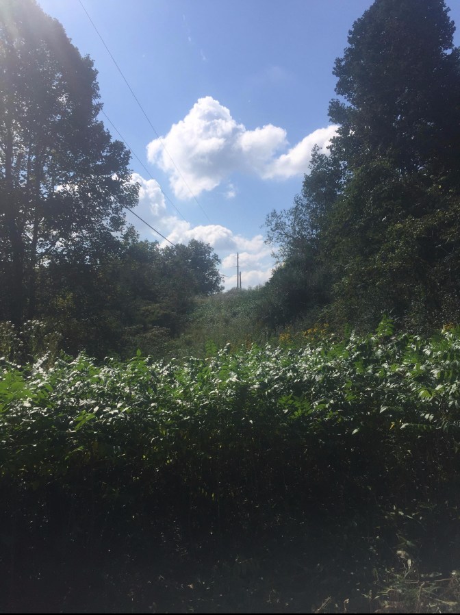 before Sep 2016 Power line run - good line