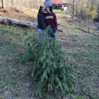 So ugly, it’s kind of cute