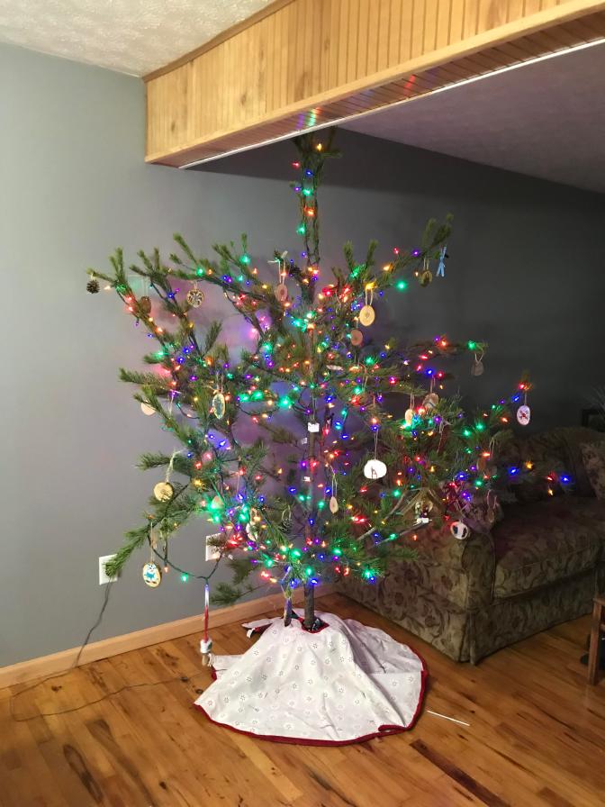 the farm tree 2017
