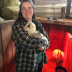 Brand new weedeater!