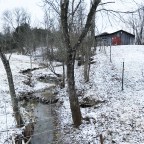 Hanging out at Curvy Creek Farm