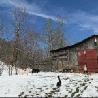 Just keep farmin’. . .