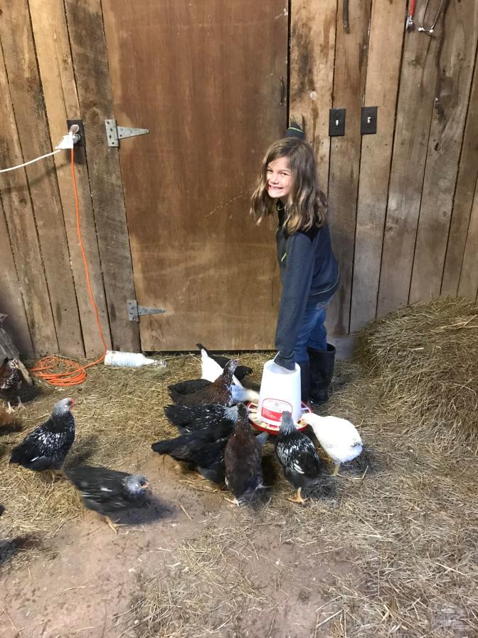 BNF Eva with chickens