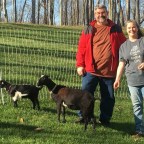 At home and on the road