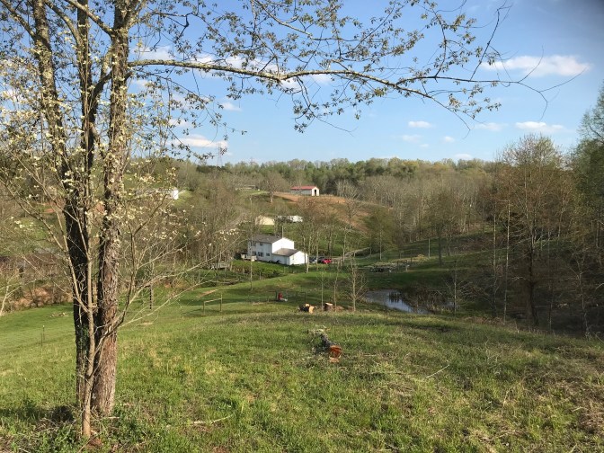 Farmhouse back spring 2018