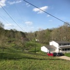 When the cat’s away . . .