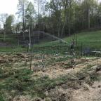 The ugly garden 2018