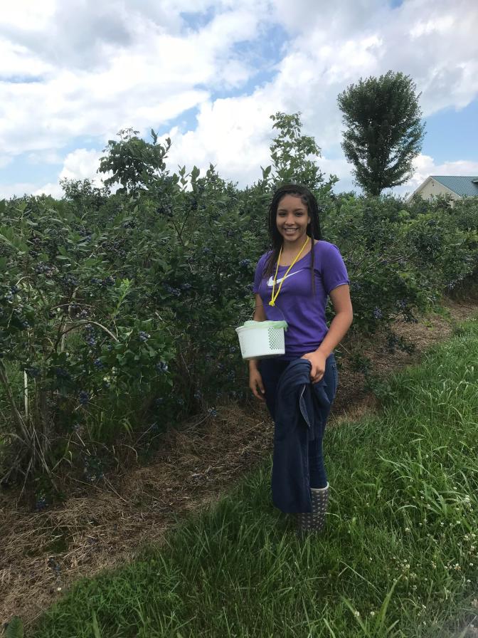 B Candice blueberry pickin