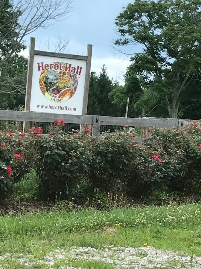 B herot hall