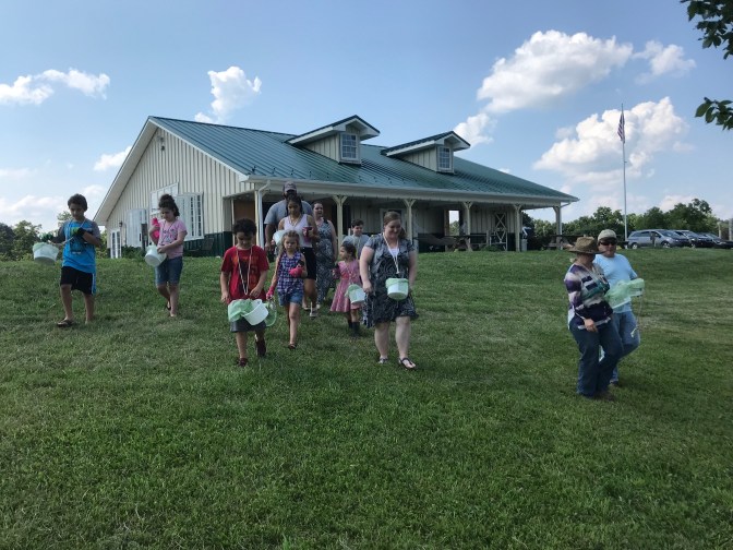 BB family berry pickin