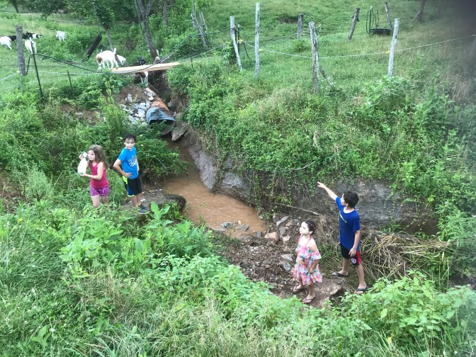 BB kids in creek