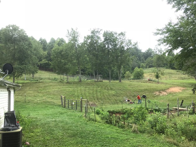 A mowing fields