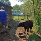 Little things, are the big things