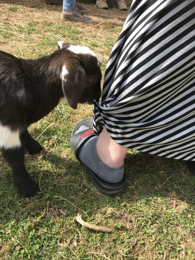 Bam bam being a baby