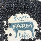 Settling in to full time farm life