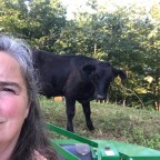 Just a little life on the farm