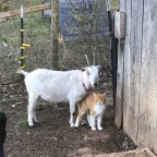 Farming continues – getting ready for winter