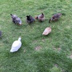 Just keep farming, farming, farming . . .